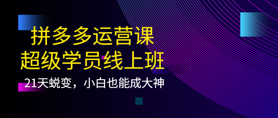 拼多多运营课：超级学员线上班，21天蜕变，小白也能成大神六月网创-网创项目资源站-副业项目-创业项目-搞钱项目六月网创