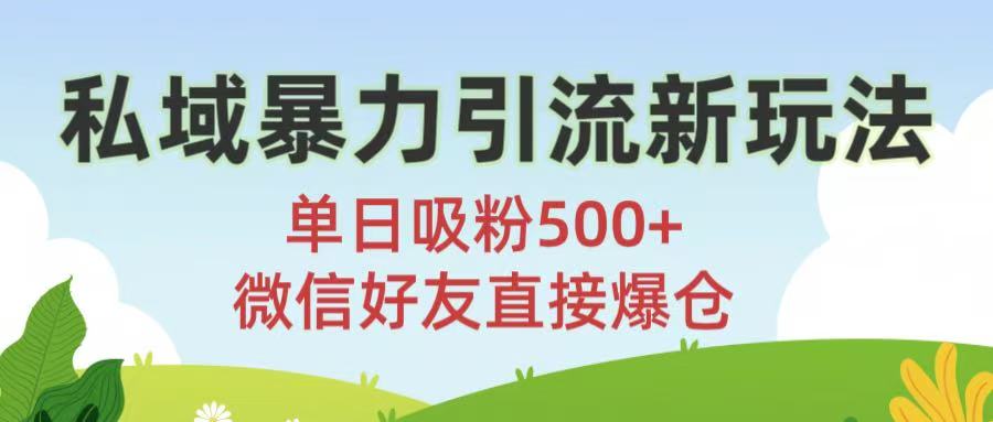 私域暴力引流新玩法!单日吸粉500+,微信好友直接爆仓六月网创-网创项目资源站-副业项目-创业项目-搞钱项目六月网创