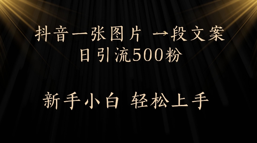 抖音一张图片，一段文案日引流500粉，新手小白 轻松上手六月网创-网创项目资源站-副业项目-创业项目-搞钱项目六月网创