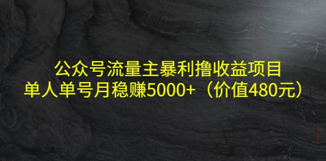 公众号流量主暴利撸收益项目,单人单号月稳赚5000+(价值480元)六月网创-网创项目资源站-副业项目-创业项目-搞钱项目六月网创