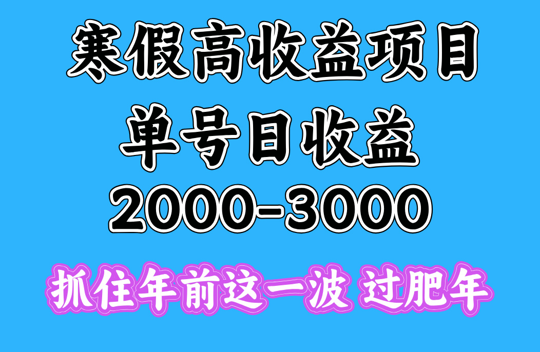 寒假期间一天收益2000-3000+,抓住年前这一波六月网创-网创项目资源站-副业项目-创业项目-搞钱项目六月网创
