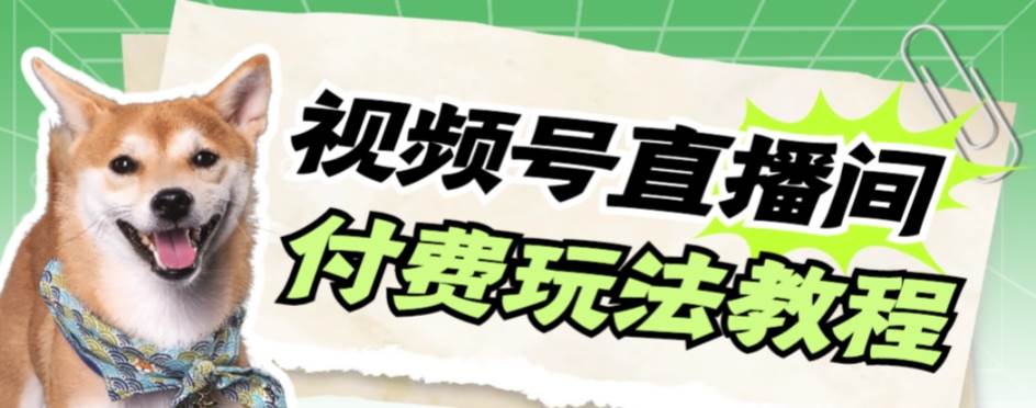 视频号美女付费无人直播，轻松日入500+【详细玩六月网创-网创项目资源站-副业项目-创业项目-搞钱项目六月网创