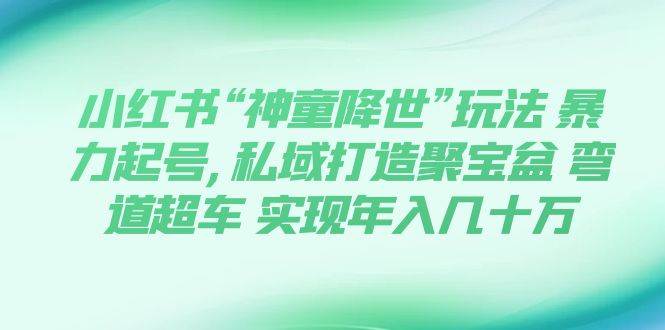 小红书“神童降世”玩法 暴力起号,私域打造聚宝盆 弯道超车 实现年入几十万六月网创-网创项目资源站-副业项目-创业项目-搞钱项目六月网创
