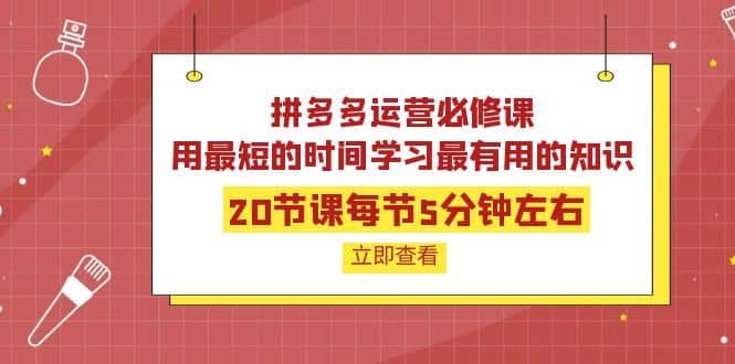 拼多多运营必修课：20节课每节5分钟左右，用最短的时间学习最有用的知识六月网创-网创项目资源站-副业项目-创业项目-搞钱项目六月网创