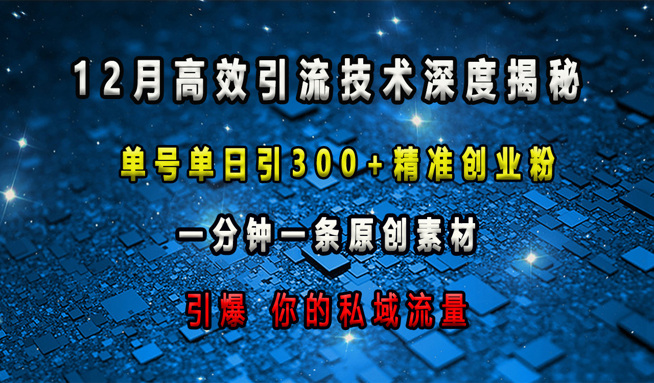 12月高效引流技术深度揭秘 ,单号单日引300+精准创业粉,一分钟一条原创素材,引爆你的私域流量六月网创-网创项目资源站-副业项目-创业项目-搞钱项目六月网创
