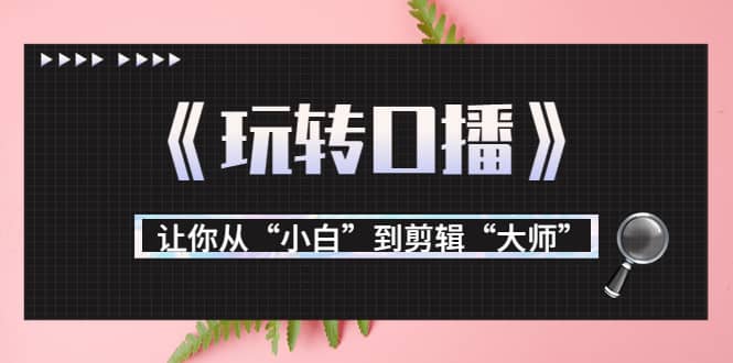 月营业额700万+大佬教您《玩转口播》让你从“小白”到剪辑“大师”六月网创-网创项目资源站-副业项目-创业项目-搞钱项目六月网创