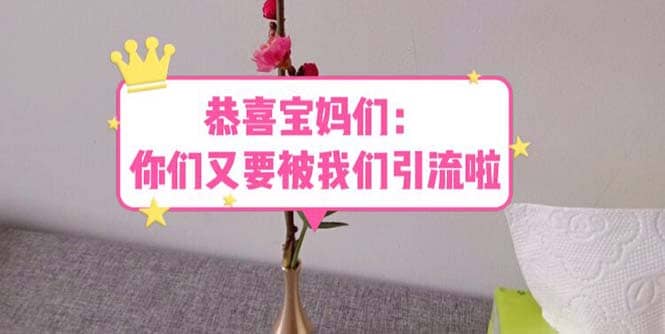 恭喜宝妈们:你们又要被我们引流了(教程+222g资料)六月网创-网创项目资源站-副业项目-创业项目-搞钱项目六月网创