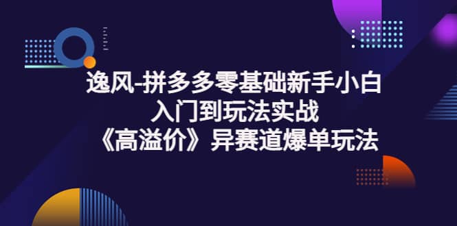 拼多多零基础新手小白入门到玩法实战《高溢价》异赛道爆单玩法实操课六月网创-网创项目资源站-副业项目-创业项目-搞钱项目六月网创