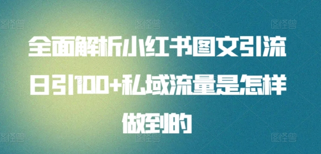 全面解析小红书图文引流日引100私域流量是怎样做到的六月网创-网创项目资源站-副业项目-创业项目-搞钱项目六月网创