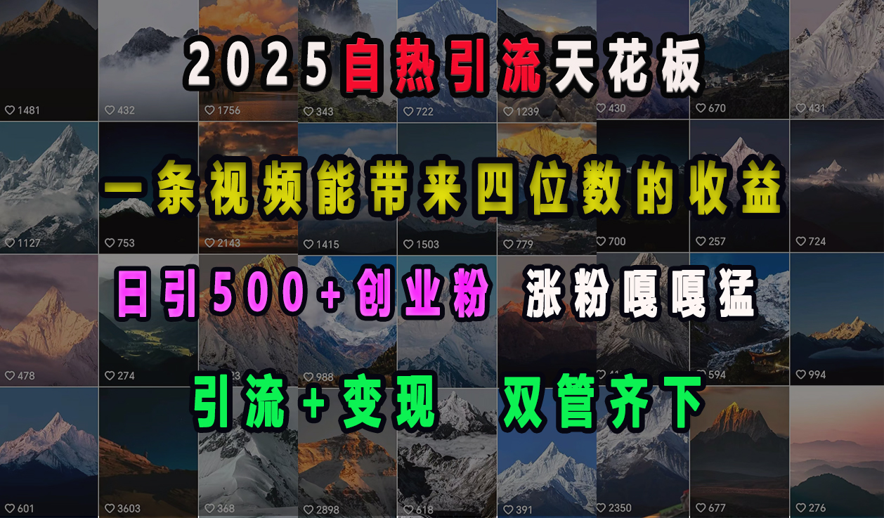 2025自热引流天花板，一条视频能带来四位数的收益，引流+变现双管齐下，日引500+创业粉，涨粉嘎嘎猛六月网创-网创项目资源站-副业项目-创业项目-搞钱项目六月网创