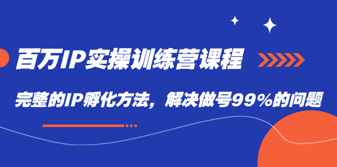 百万IP实战训练营课程，完整的IP孵化方法，解决做号99%的问题六月网创-网创项目资源站-副业项目-创业项目-搞钱项目六月网创