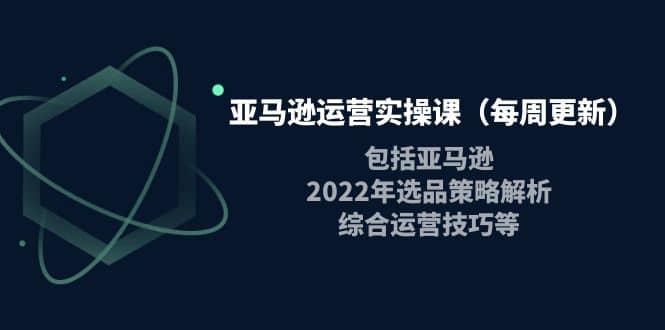 亚马逊运营实操课（每周更新）包括亚马逊2022选品策略解析，综合运营技巧等六月网创-网创项目资源站-副业项目-创业项目-搞钱项目六月网创