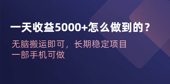 一天收益5000+怎么做到的?无脑搬运即可,长期稳定项目,一部手机可做六月网创-网创项目资源站-副业项目-创业项目-搞钱项目六月网创