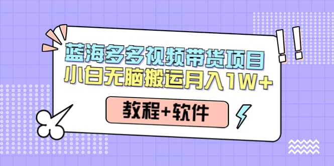 人人都能操作的蓝海多多视频带货项目 小白无脑搬运（教程+软件）六月网创-网创项目资源站-副业项目-创业项目-搞钱项目六月网创