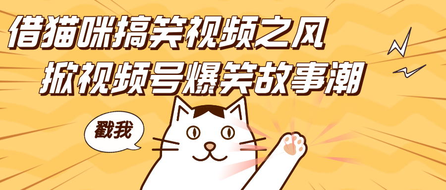 借猫咪搞笑视频之风,掀视频号爆笑故事潮,轻松日赚四位数,开启无门槛赚钱新体验!六月网创-网创项目资源站-副业项目-创业项目-搞钱项目六月网创