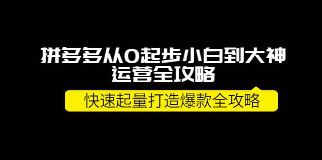 拼多多从0起步小白到大神运营全攻略六月网创-网创项目资源站-副业项目-创业项目-搞钱项目六月网创