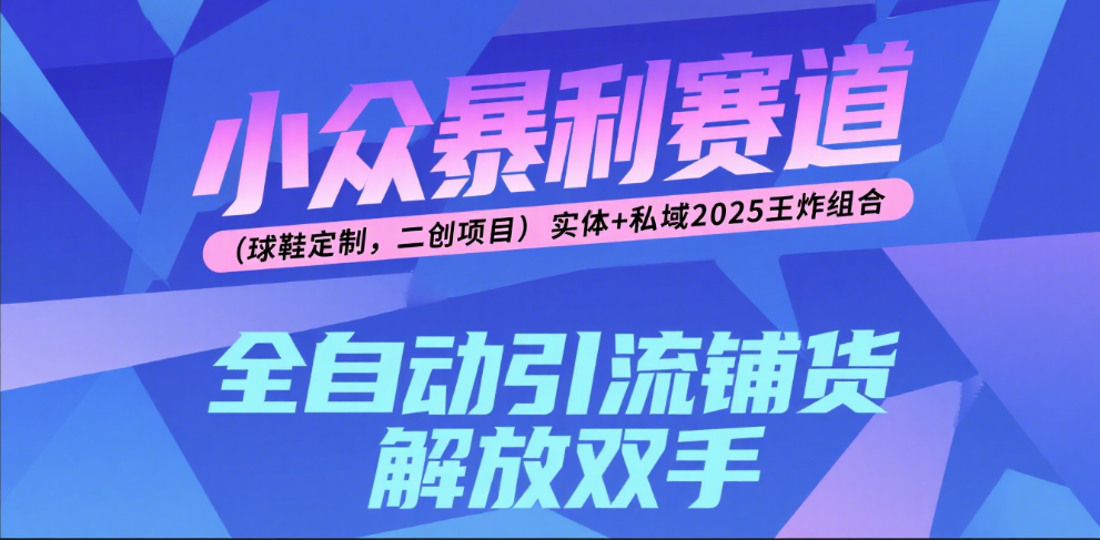 楠—小众暴利赛道（球鞋定制，二创项目）实体+私域2025王炸组合六月网创-网创项目资源站-副业项目-创业项目-搞钱项目六月网创