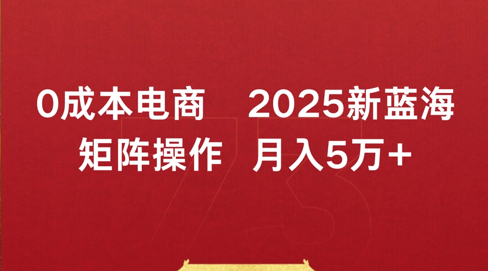 0成本电商2025新蓝海矩阵操作 月入5万+六月网创-网创项目资源站-副业项目-创业项目-搞钱项目六月网创