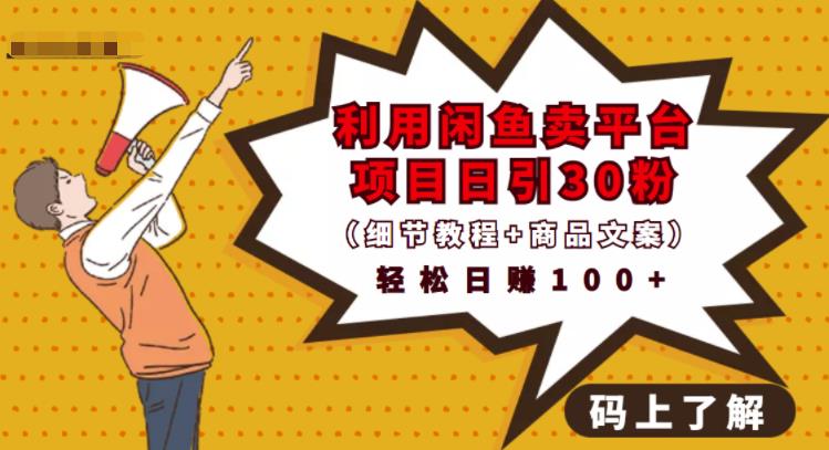 利用闲鱼卖平台项目课程资源日引流30+精准粉丝，轻松日赚100+，积累人脉可实现二次变现（细节教程+商品文案）六月网创-网创项目资源站-副业项目-创业项目-搞钱项目六月网创
