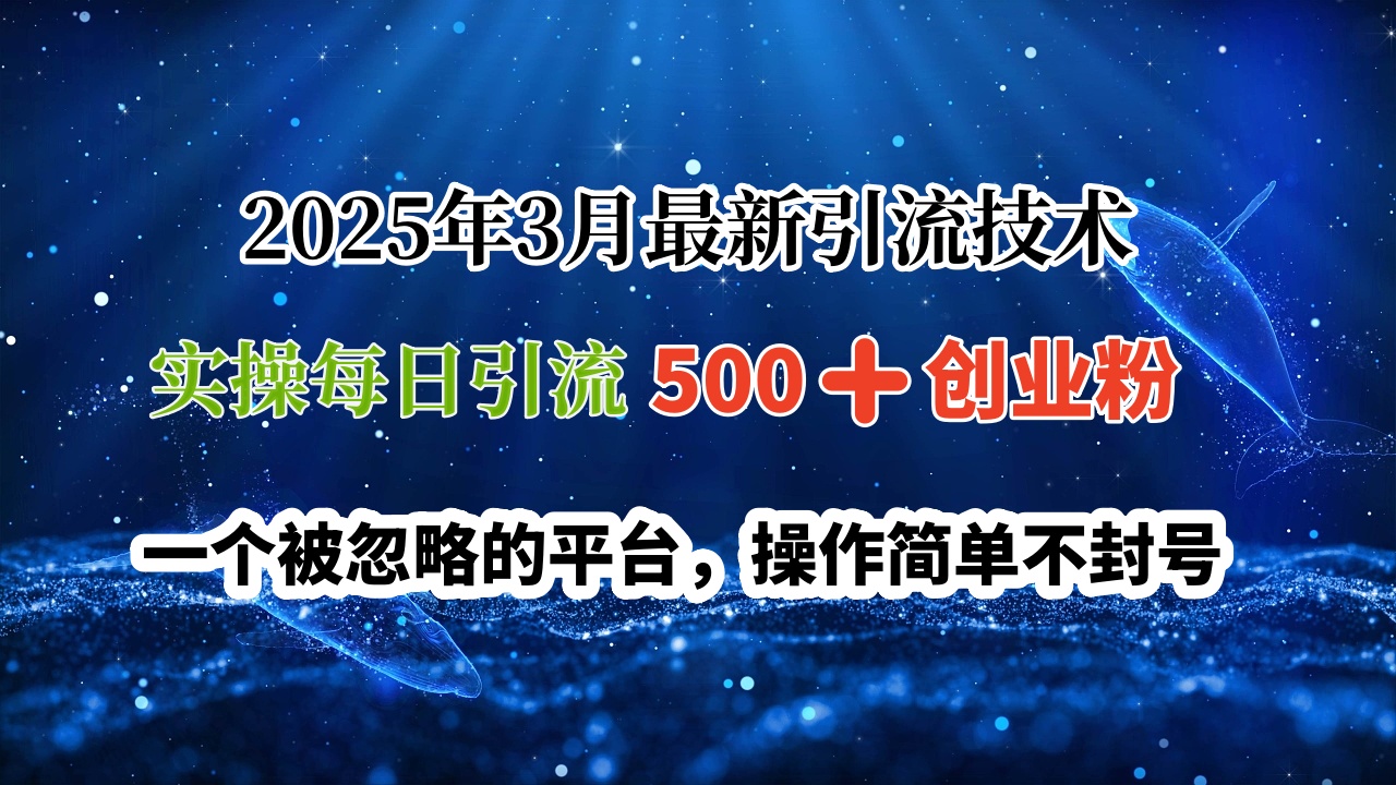 2025年3月最新引流技术,实操每日引流500➕创业粉,一个被忽略的平台,操作简单不封号六月网创-网创项目资源站-副业项目-创业项目-搞钱项目六月网创