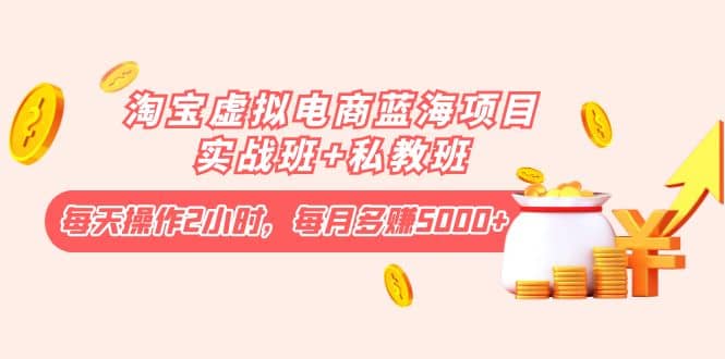 淘宝虚拟电商蓝海项目实战班+私教班六月网创-网创项目资源站-副业项目-创业项目-搞钱项目六月网创