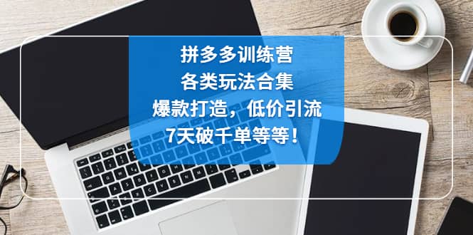 拼多多训练营：各玩法合集，爆款打造，低价引流，7天破千单等等六月网创-网创项目资源站-副业项目-创业项目-搞钱项目六月网创