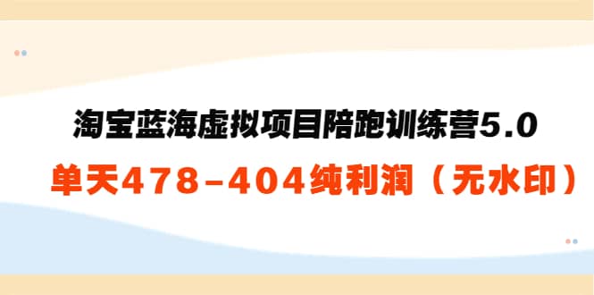 淘宝蓝海虚拟项目陪跑训练营5.0：单天478纯利润（无水印）六月网创-网创项目资源站-副业项目-创业项目-搞钱项目六月网创