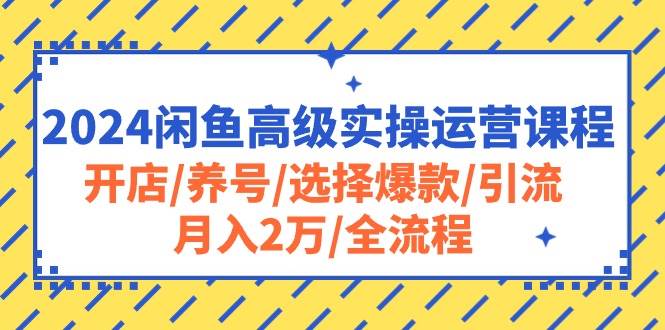 2024闲鱼高级实操运营课程:开店/养号/选择爆款/引流/月入2万/全流程六月网创-网创项目资源站-副业项目-创业项目-搞钱项目六月网创