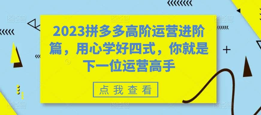 2023拼多多高阶运营进阶篇，用心学好四式，你就是下一位运营高手六月网创-网创项目资源站-副业项目-创业项目-搞钱项目六月网创
