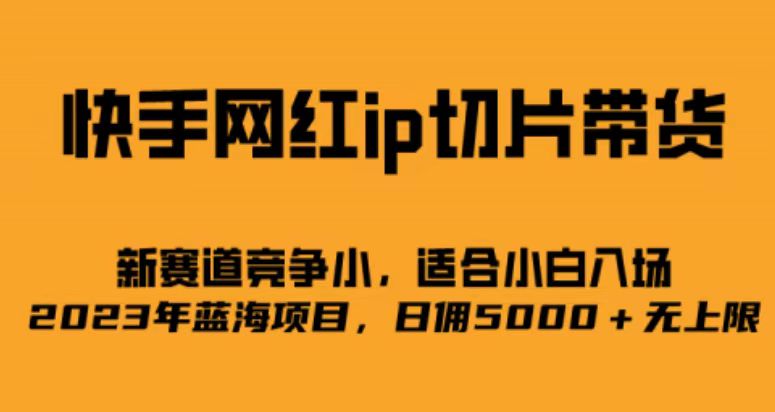 快手网红ip切片新赛道,竞争小事,适合小白 2023蓝海项目六月网创-网创项目资源站-副业项目-创业项目-搞钱项目六月网创