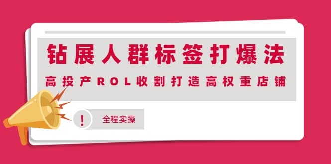 钻展人群标签打爆法，高投产ROL收割打造高权重店铺(全程实操)六月网创-网创项目资源站-副业项目-创业项目-搞钱项目六月网创