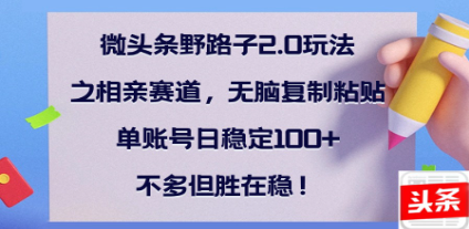 全网首发微头条野路子2.0玩法之相亲赛道,无脑搬砖复制粘贴,单账号日稳定300+保姆级教程六月网创-网创项目资源站-副业项目-创业项目-搞钱项目六月网创