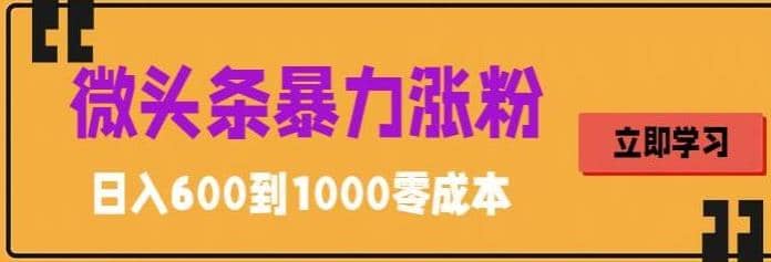 微头条暴力涨粉技巧搬运文案就能涨几万粉丝，简单0成本，日赚600六月网创-网创项目资源站-副业项目-创业项目-搞钱项目六月网创