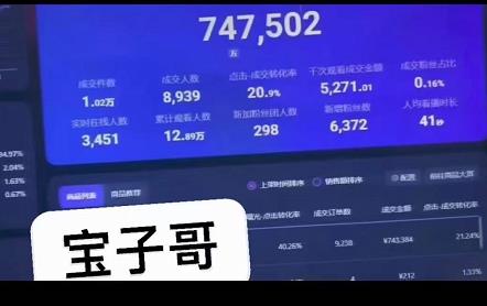 宝子哥无人直播,半无人直播,Obs+伴侣玩法,快速打标签+养鱼六月网创-网创项目资源站-副业项目-创业项目-搞钱项目六月网创