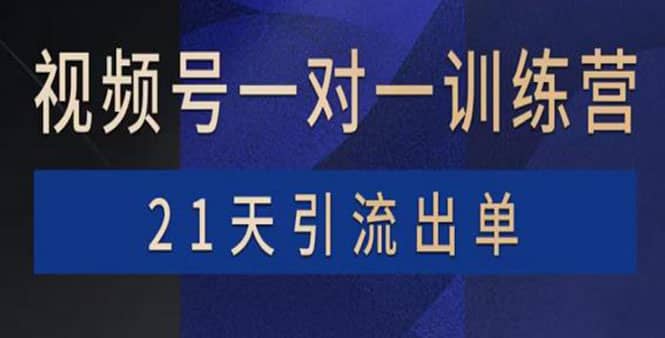 视频号训练营:带货,涨粉,直播,游戏,四大变现新方向,21天引流出单六月网创-网创项目资源站-副业项目-创业项目-搞钱项目六月网创