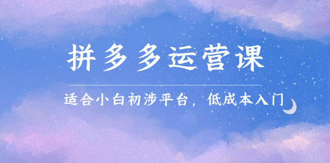 拼多多运营课,适合小白初涉平台,低成本入门六月网创-网创项目资源站-副业项目-创业项目-搞钱项目六月网创