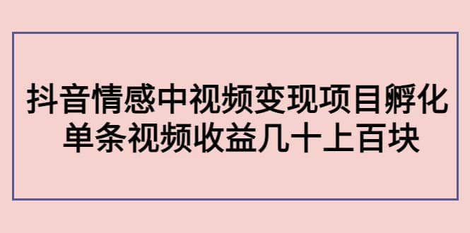 抖音情感中视频变现项目孵化六月网创-网创项目资源站-副业项目-创业项目-搞钱项目六月网创