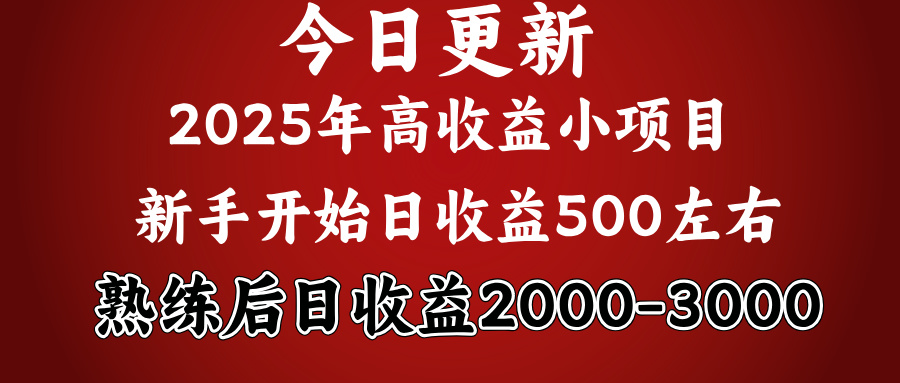 2025开年好项目,新手日收益500+ 熟练掌握后,日收益平均2000多六月网创-网创项目资源站-副业项目-创业项目-搞钱项目六月网创