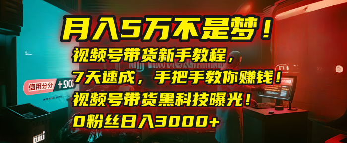 月入5万不是梦!视频号带货新手教程,7天速成,手把手教你赚钱!视频号带货黑科技曝光!0粉丝日入3000+六月网创-网创项目资源站-副业项目-创业项目-搞钱项目六月网创