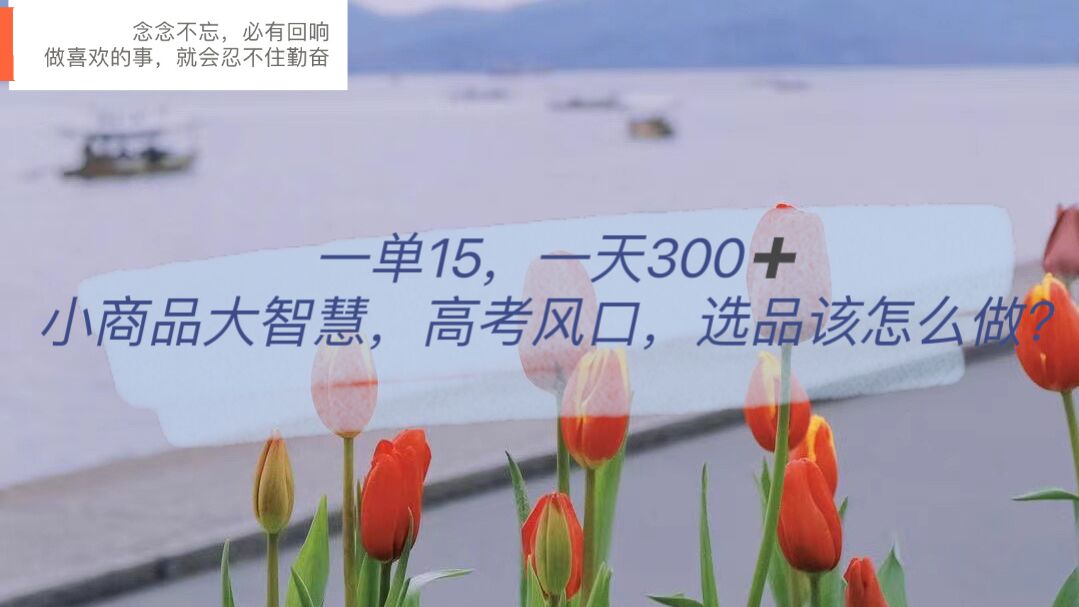 一单15，一天300+，小商品大智慧，高考风口，选品该怎么布局六月网创-网创项目资源站-副业项目-创业项目-搞钱项目六月网创