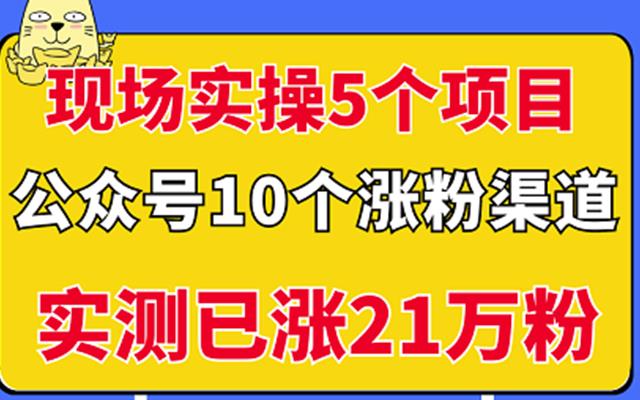 现场实操5个公众号项目，10个涨粉渠道，实测已涨21万粉！六月网创-网创项目资源站-副业项目-创业项目-搞钱项目六月网创