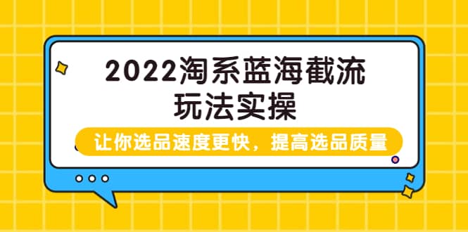 2022淘系蓝海截流玩法实操：让你选品速度更快，提高选品质量（价值599）六月网创-网创项目资源站-副业项目-创业项目-搞钱项目六月网创