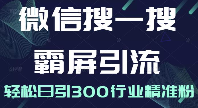 微信搜一搜霸屏引流课,打造被动精准引流系统,轻松日引300行业精准粉【无水印】六月网创-网创项目资源站-副业项目-创业项目-搞钱项目六月网创