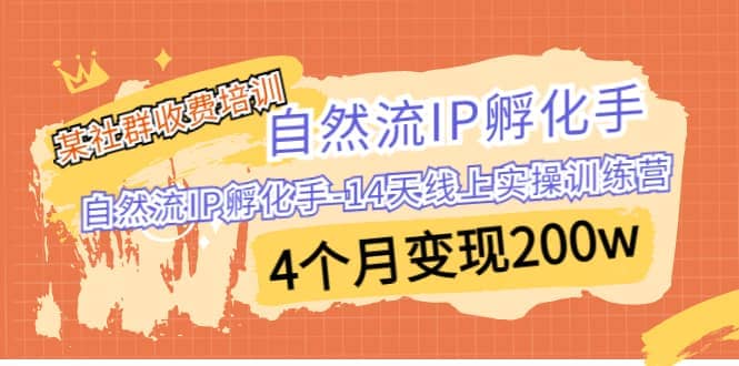 某社群收费培训:自然流IP 孵化手-14天线上实操训练营 4个月变现200w六月网创-网创项目资源站-副业项目-创业项目-搞钱项目六月网创