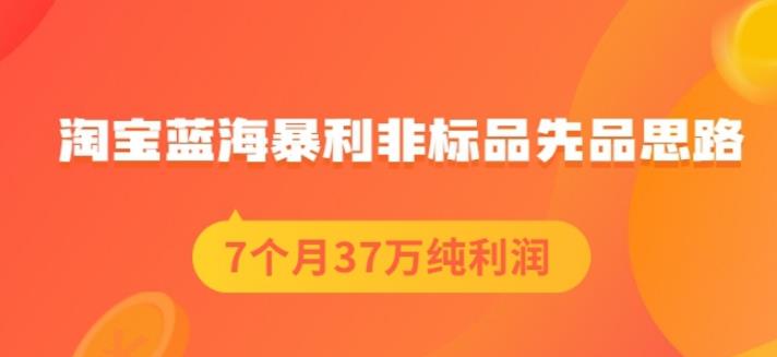盗坤淘宝蓝海暴利非标品先品思路,7个月37万纯利润,压箱干货分享!【付费文章】六月网创-网创项目资源站-副业项目-创业项目-搞钱项目六月网创