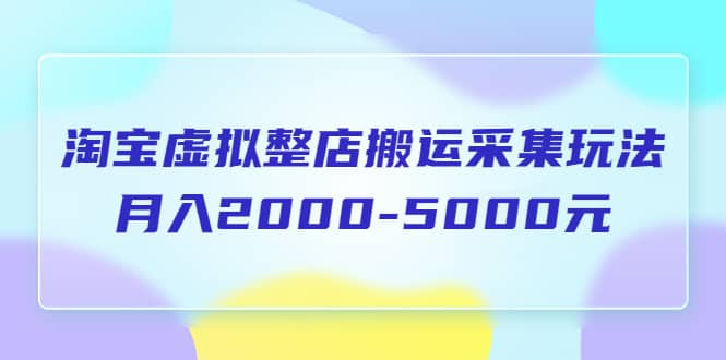 淘宝虚拟整店搬运采集玩法分享课：月入2000-5000元（5节课）六月网创-网创项目资源站-副业项目-创业项目-搞钱项目六月网创