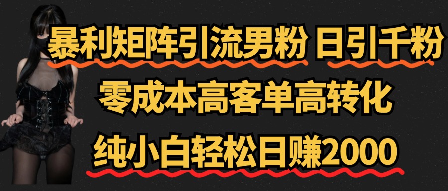 暴利矩阵引流男粉(日引千粉),零成本高客单高转化,纯小白轻松日赚2000+六月网创-网创项目资源站-副业项目-创业项目-搞钱项目六月网创