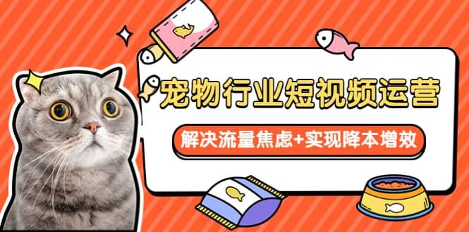宠物/行业短视频运营 流量增长的一层窗户纸 解决流量焦虑+实现降本增效六月网创-网创项目资源站-副业项目-创业项目-搞钱项目六月网创