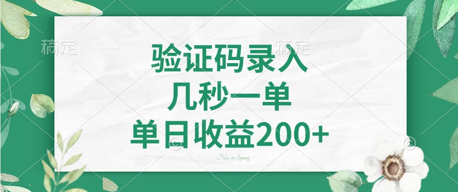 验证码录入，几秒一单，单日收益200+六月网创-网创项目资源站-副业项目-创业项目-搞钱项目六月网创