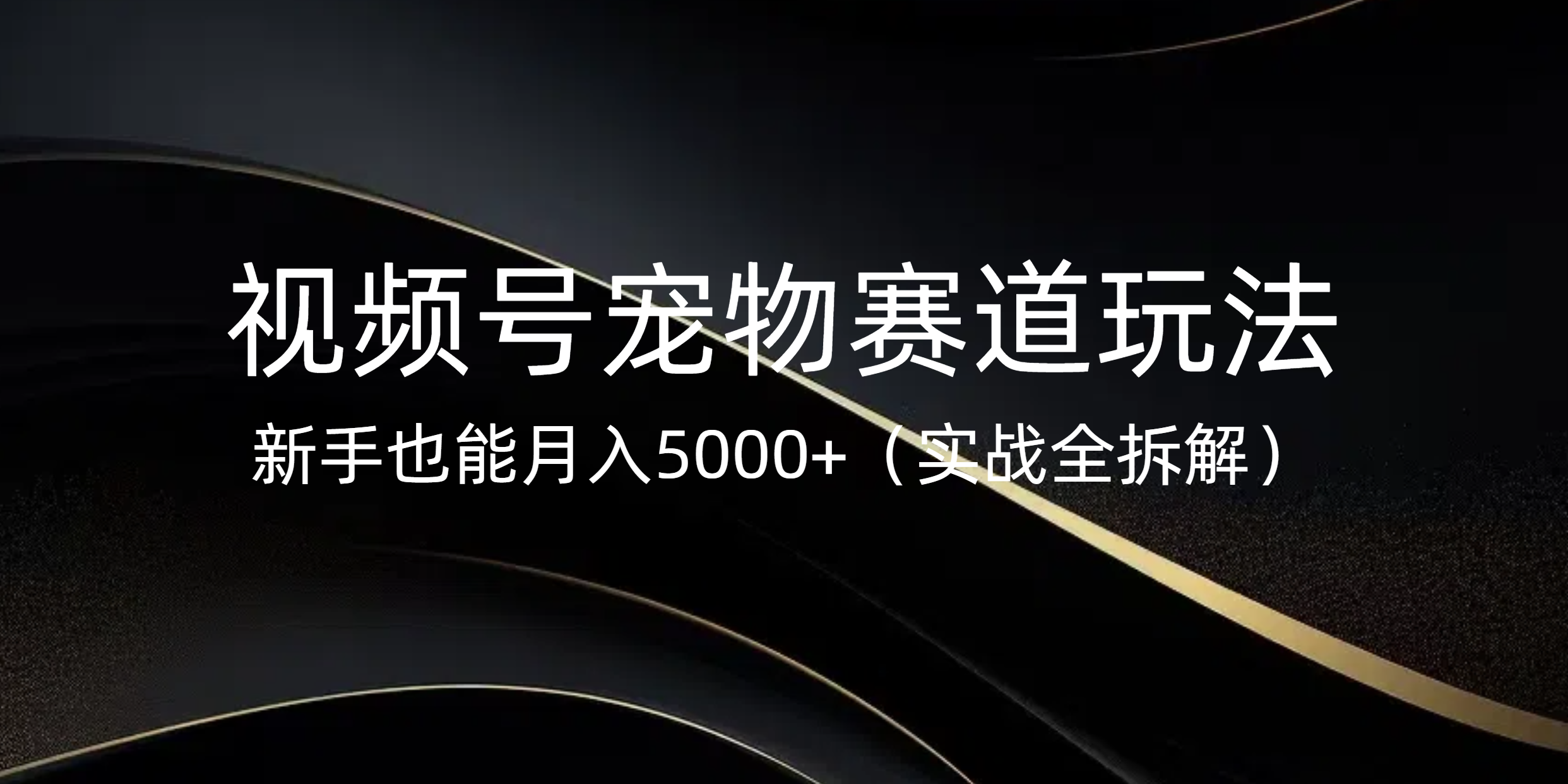 视频号宠物赛道玩法,新手也能月入5000+(实战全拆解)六月网创-网创项目资源站-副业项目-创业项目-搞钱项目六月网创